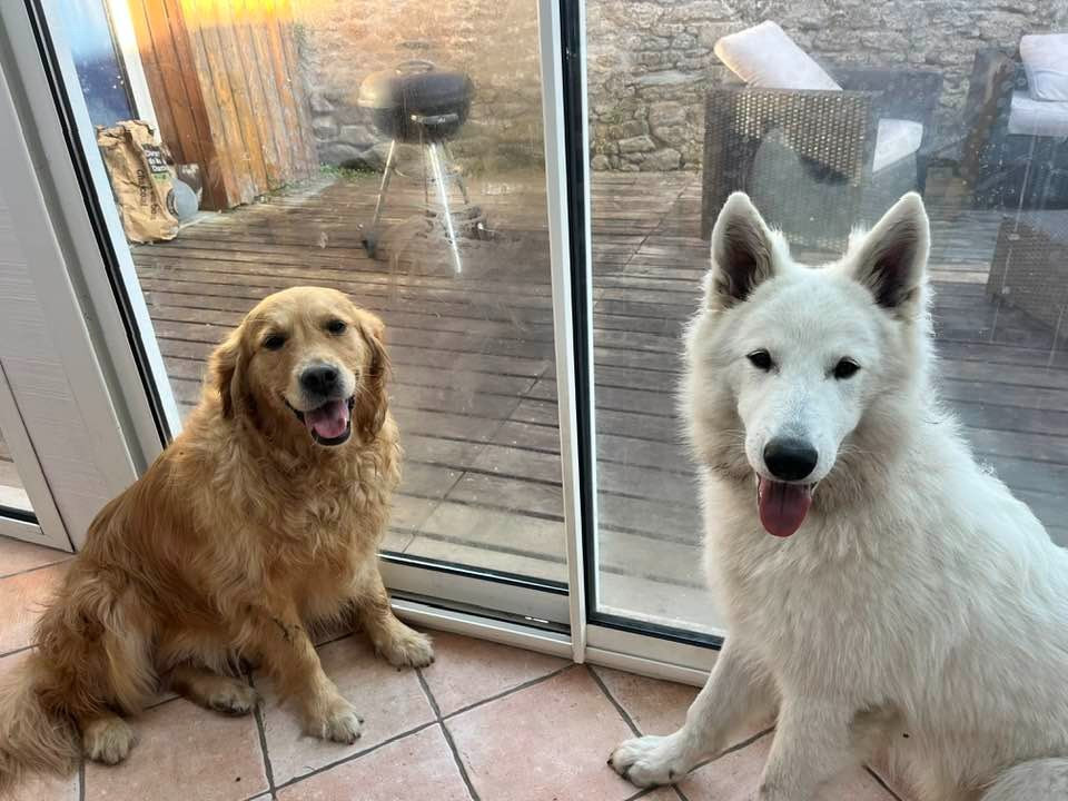 Vera Du Moulin De Beuvry