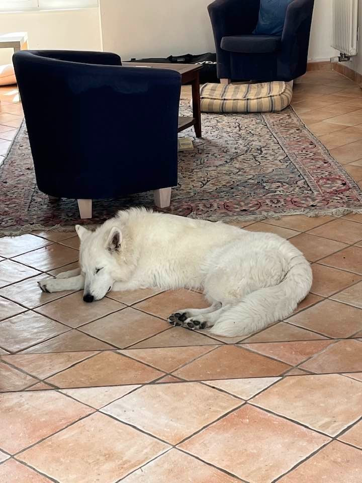 Vera Du Moulin De Beuvry