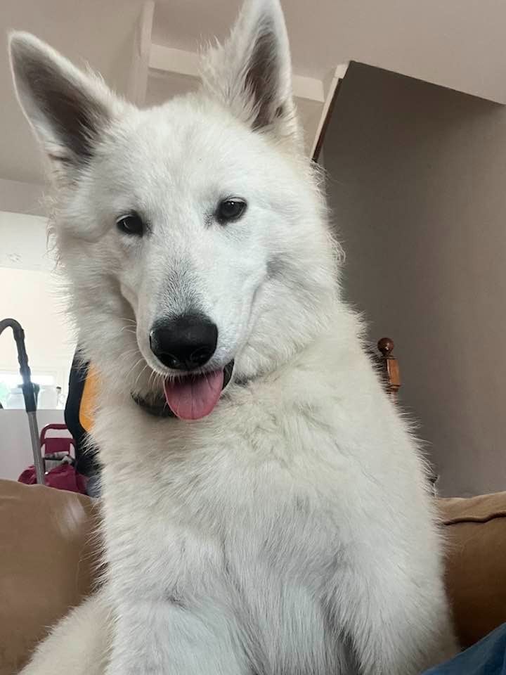 Vera Du Moulin De Beuvry