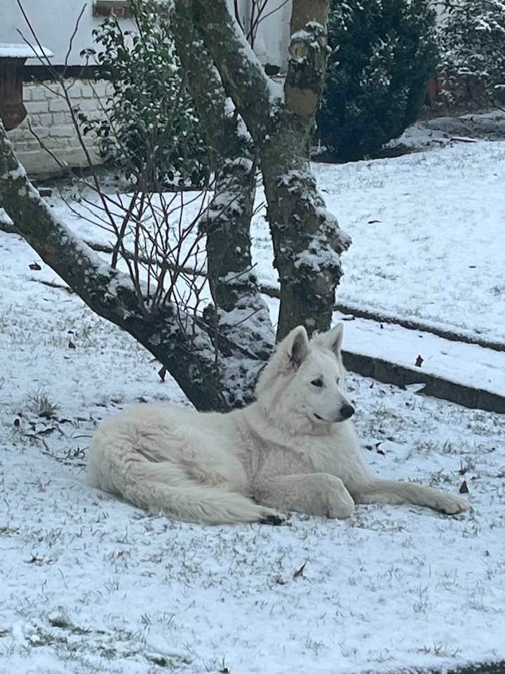 Vera Du Moulin De Beuvry