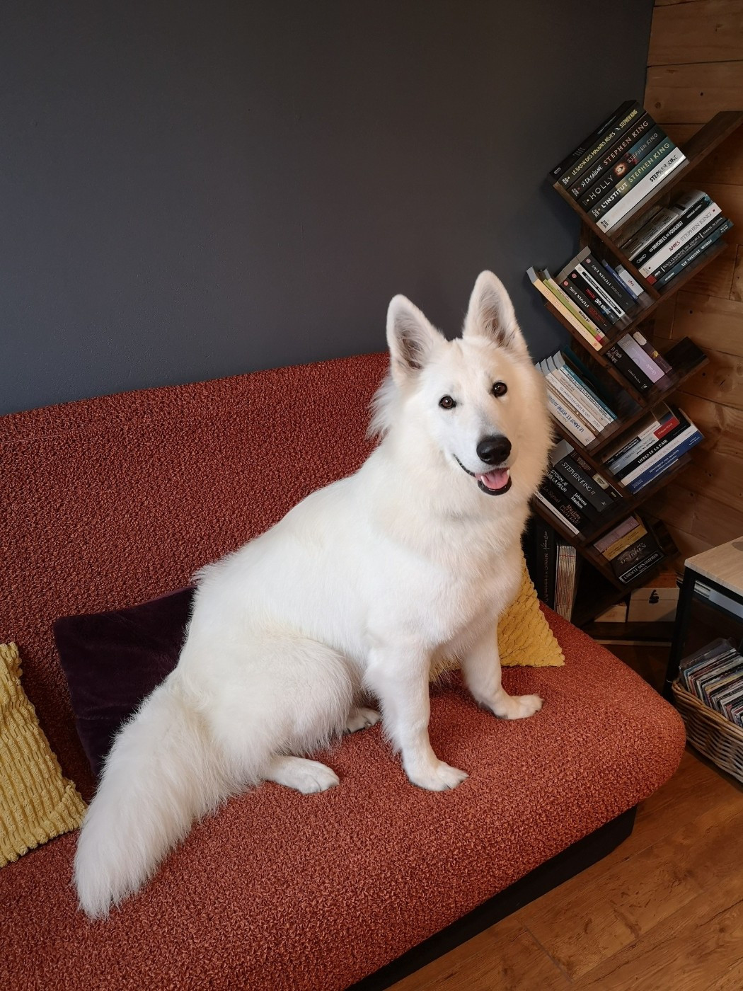 Vesper Du Moulin De Beuvry