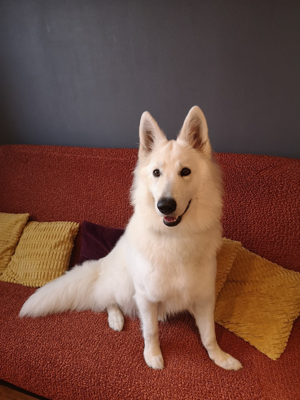 Vesper Du Moulin De Beuvry