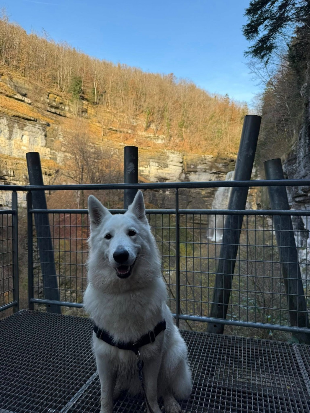 Vesper Du Moulin De Beuvry