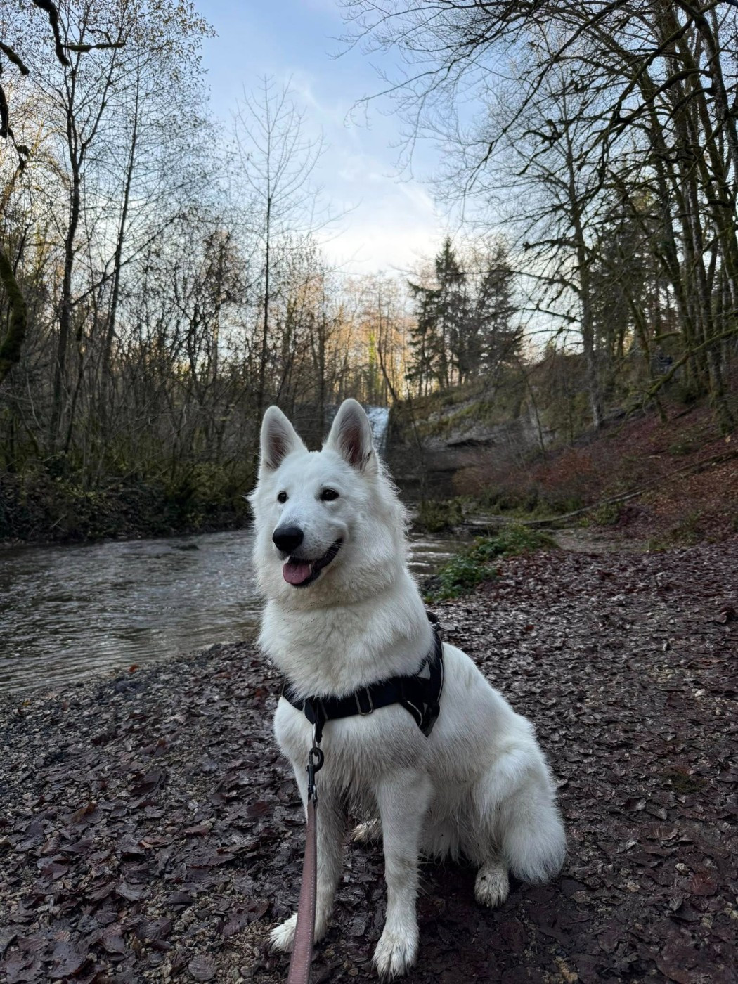 Vesper Du Moulin De Beuvry