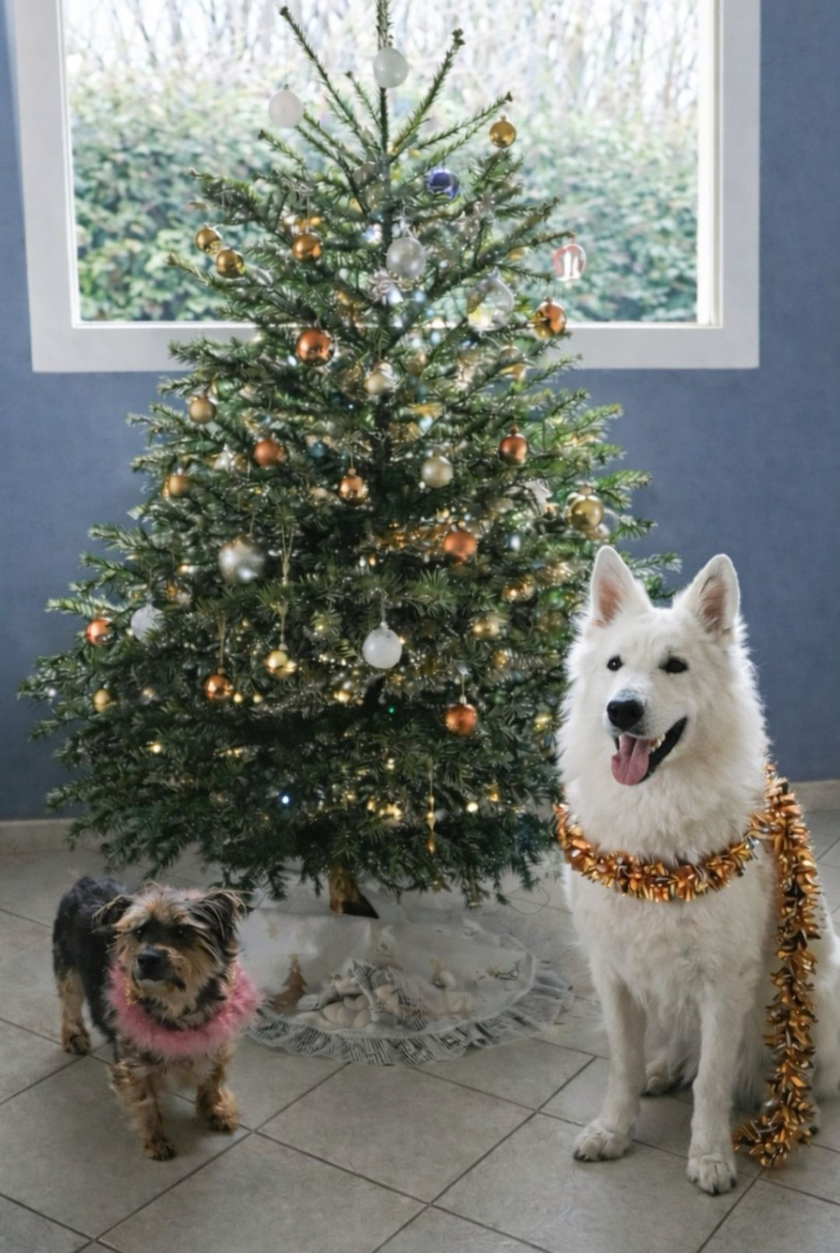 Vesper Du Moulin De Beuvry