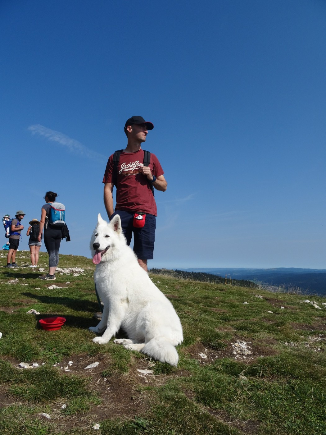Vixie Du Moulin De Beuvry