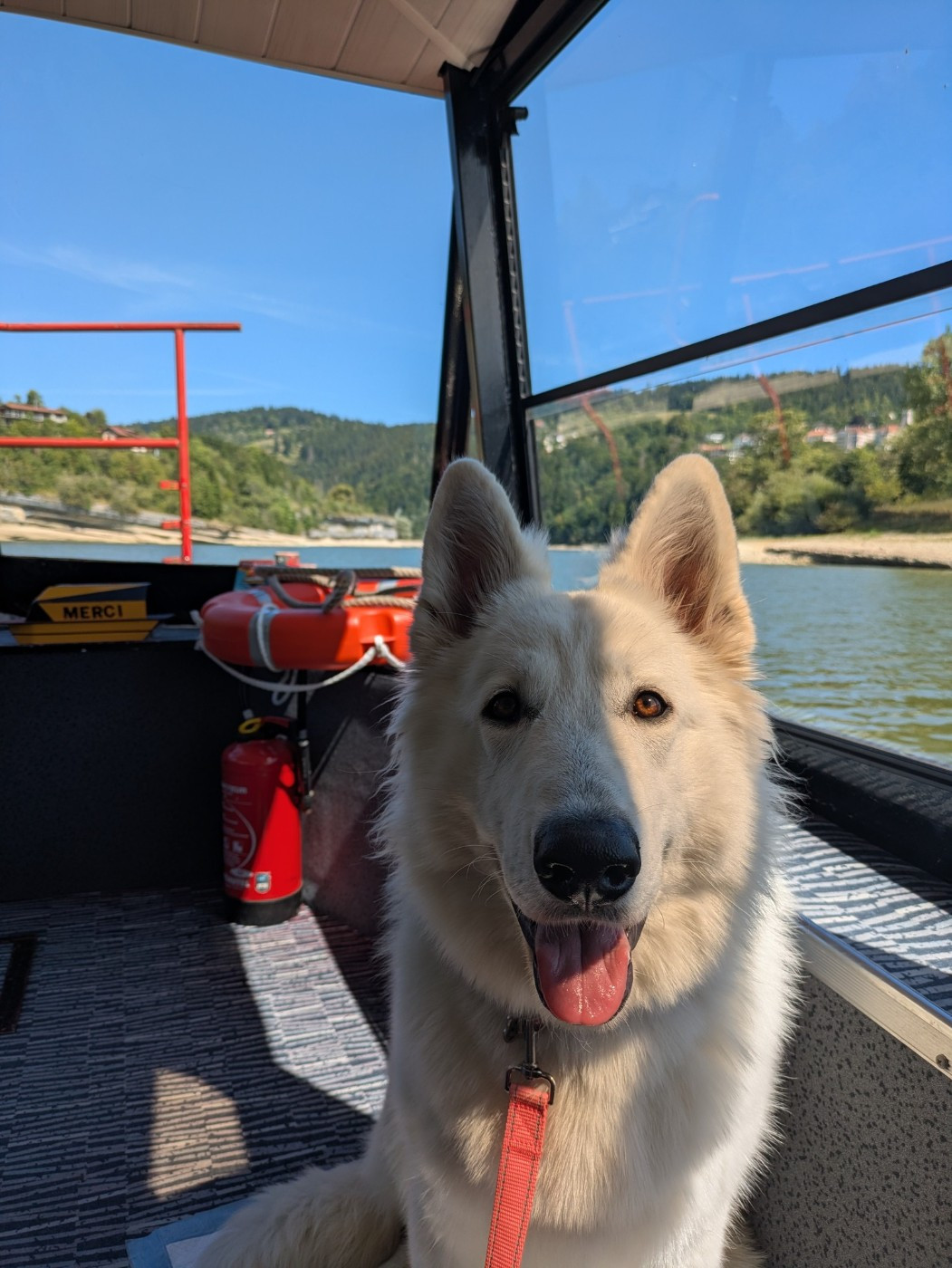 Vixie Du Moulin De Beuvry