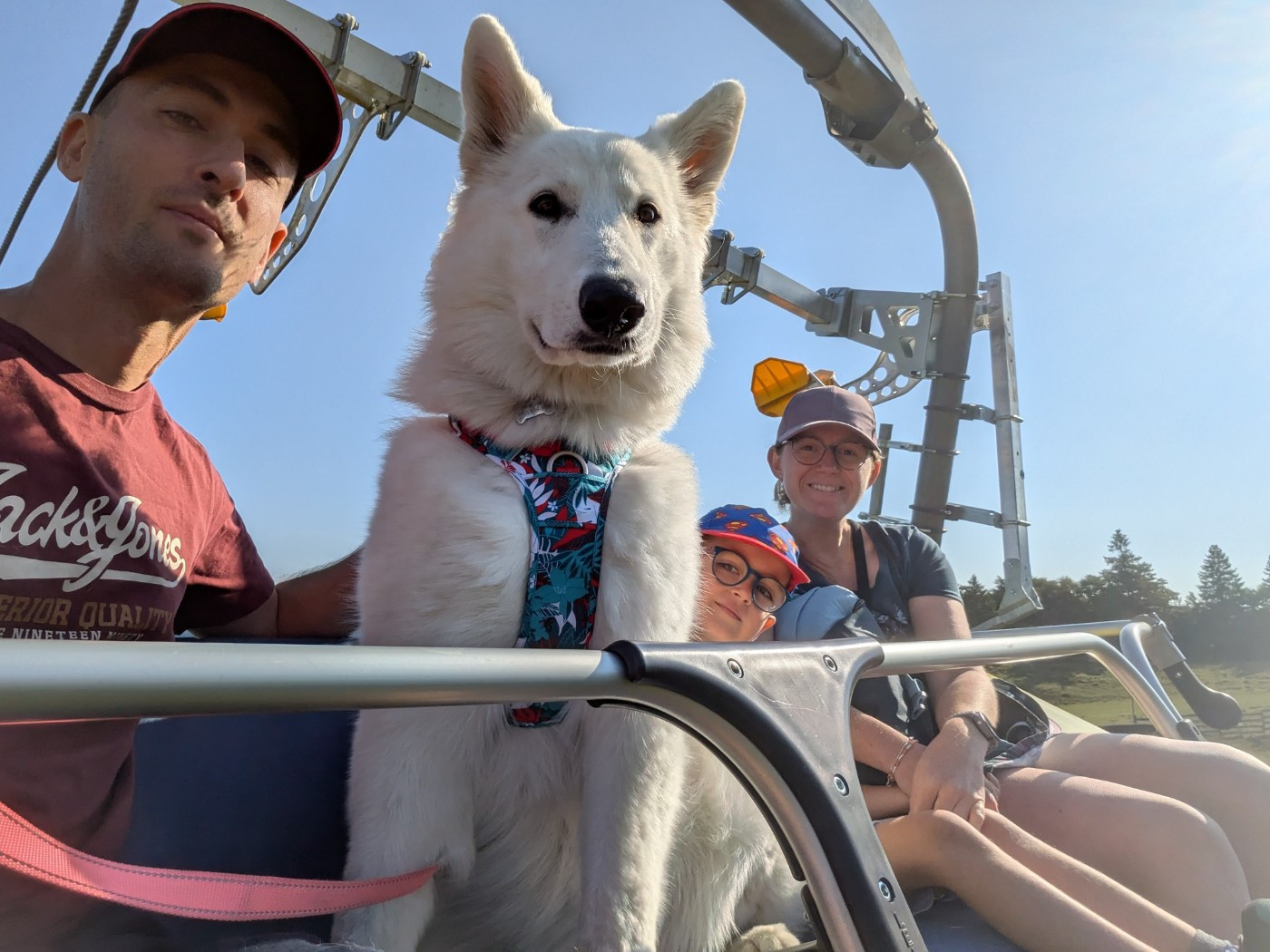 Vixie Du Moulin De Beuvry