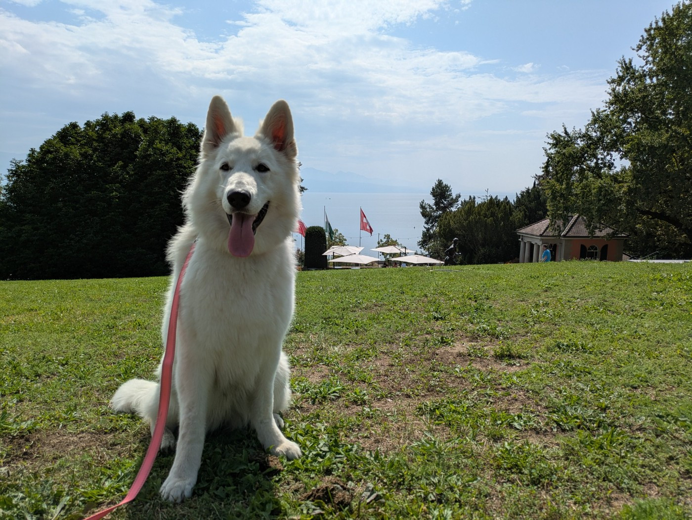 Vixie Du Moulin De Beuvry