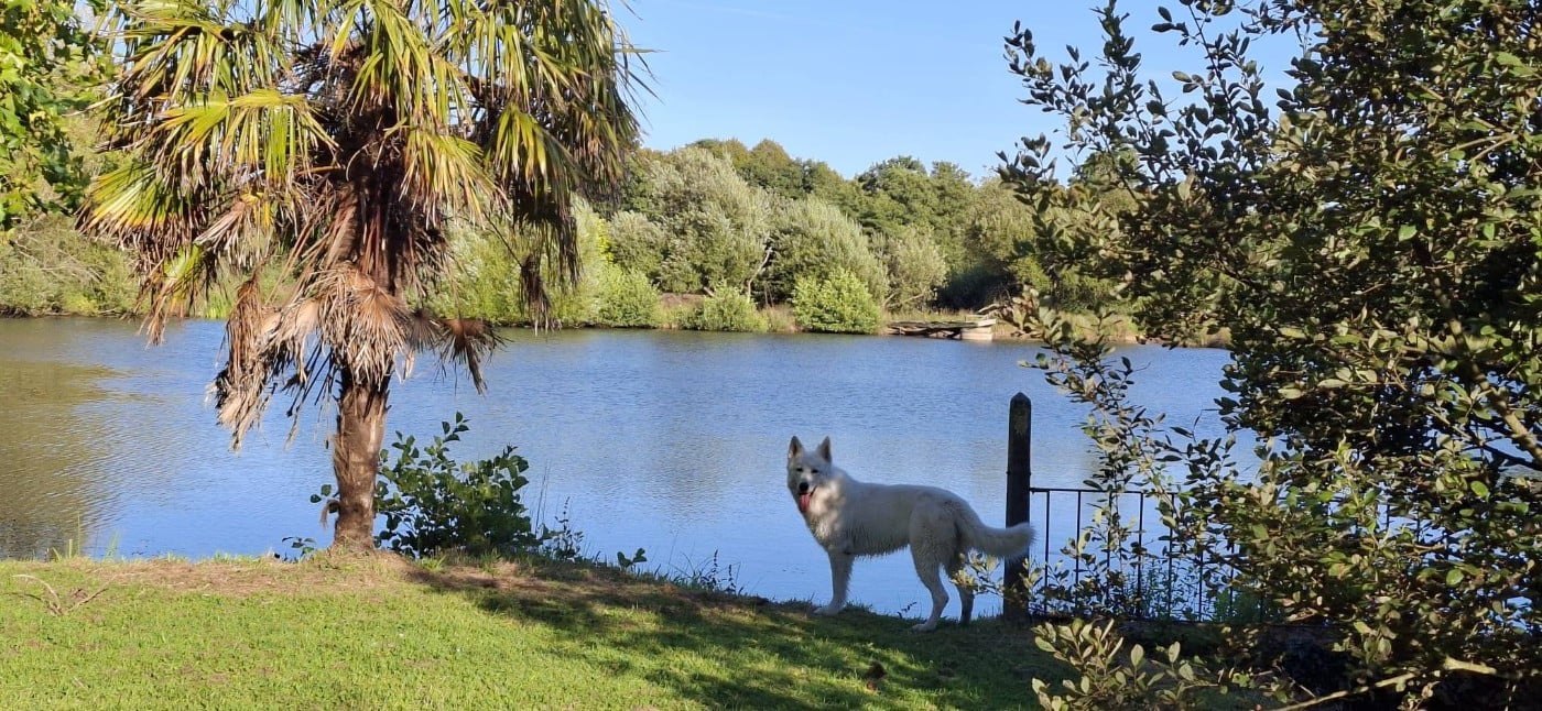 Vlad Du Moulin De Beuvry