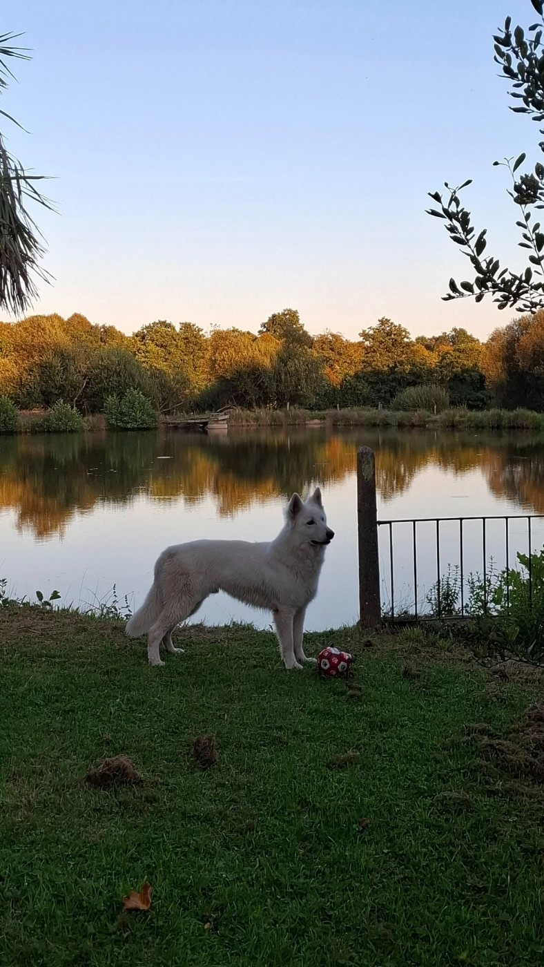 Vlad Du Moulin De Beuvry