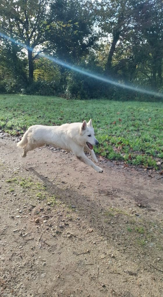 Vlad Du Moulin De Beuvry