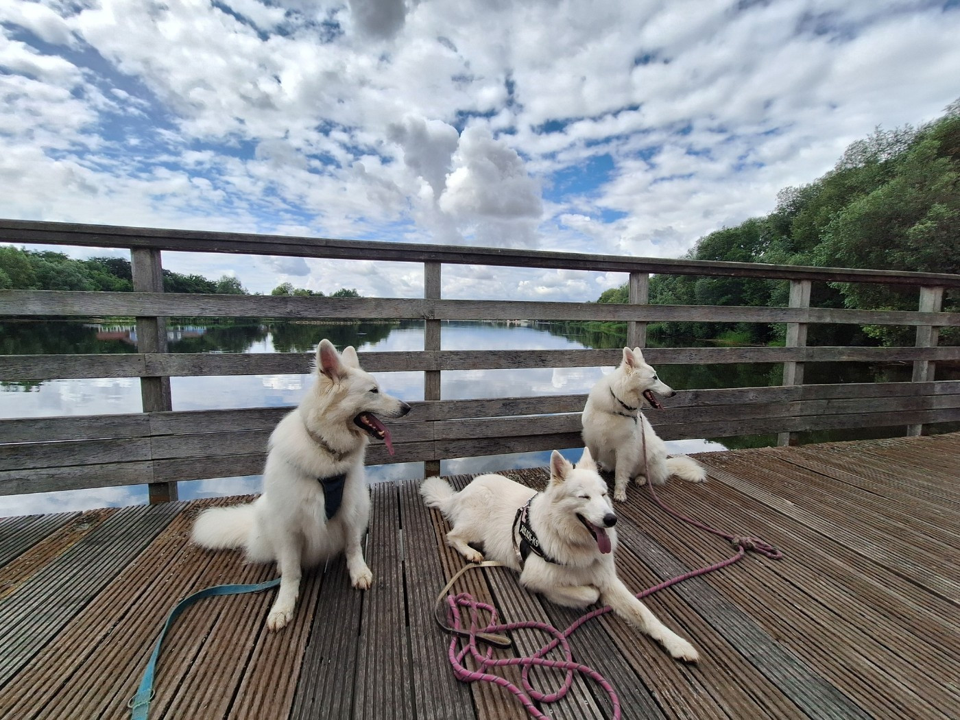 Ozalee Du Moulin De Beuvry
