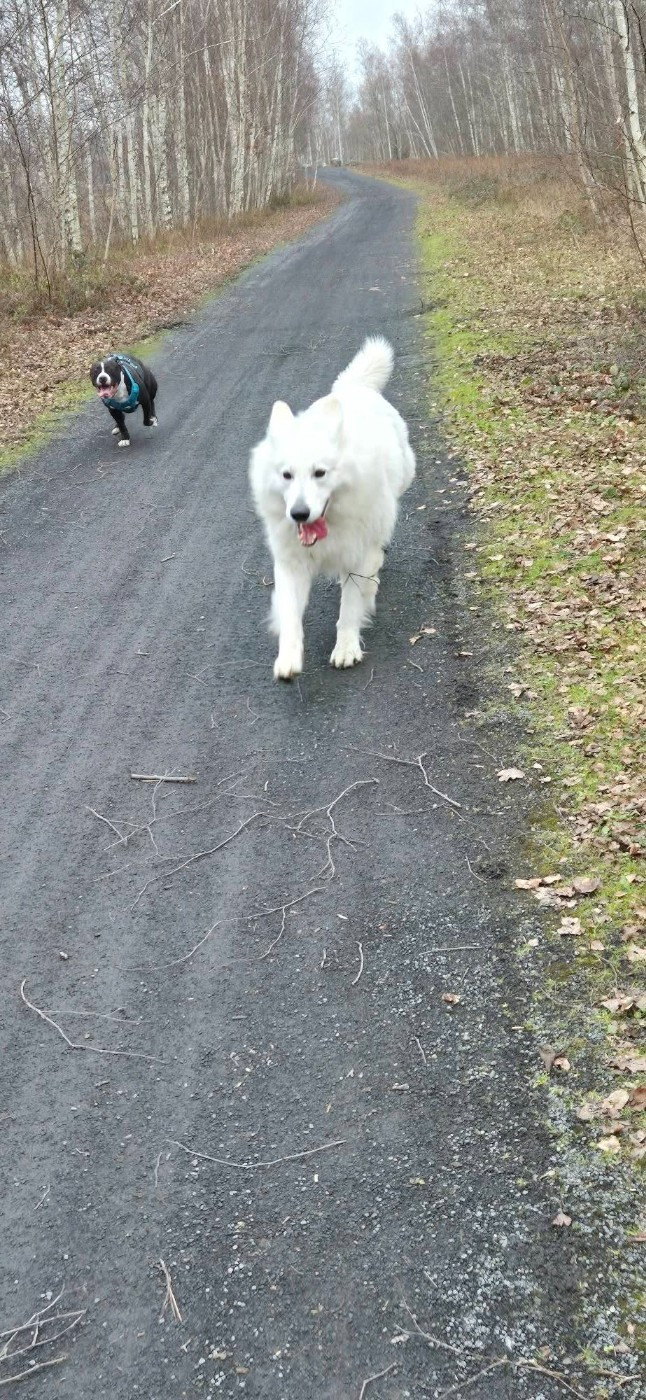 R'wolf Du Moulin De Beuvry