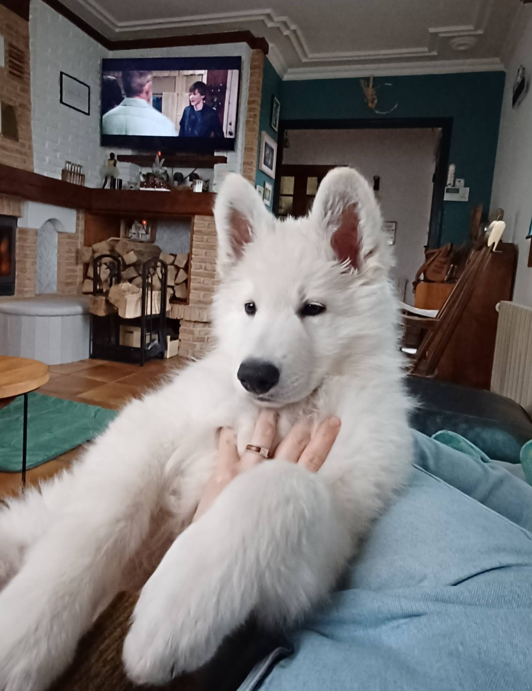 A SKOLL Du Moulin De Beuvry
