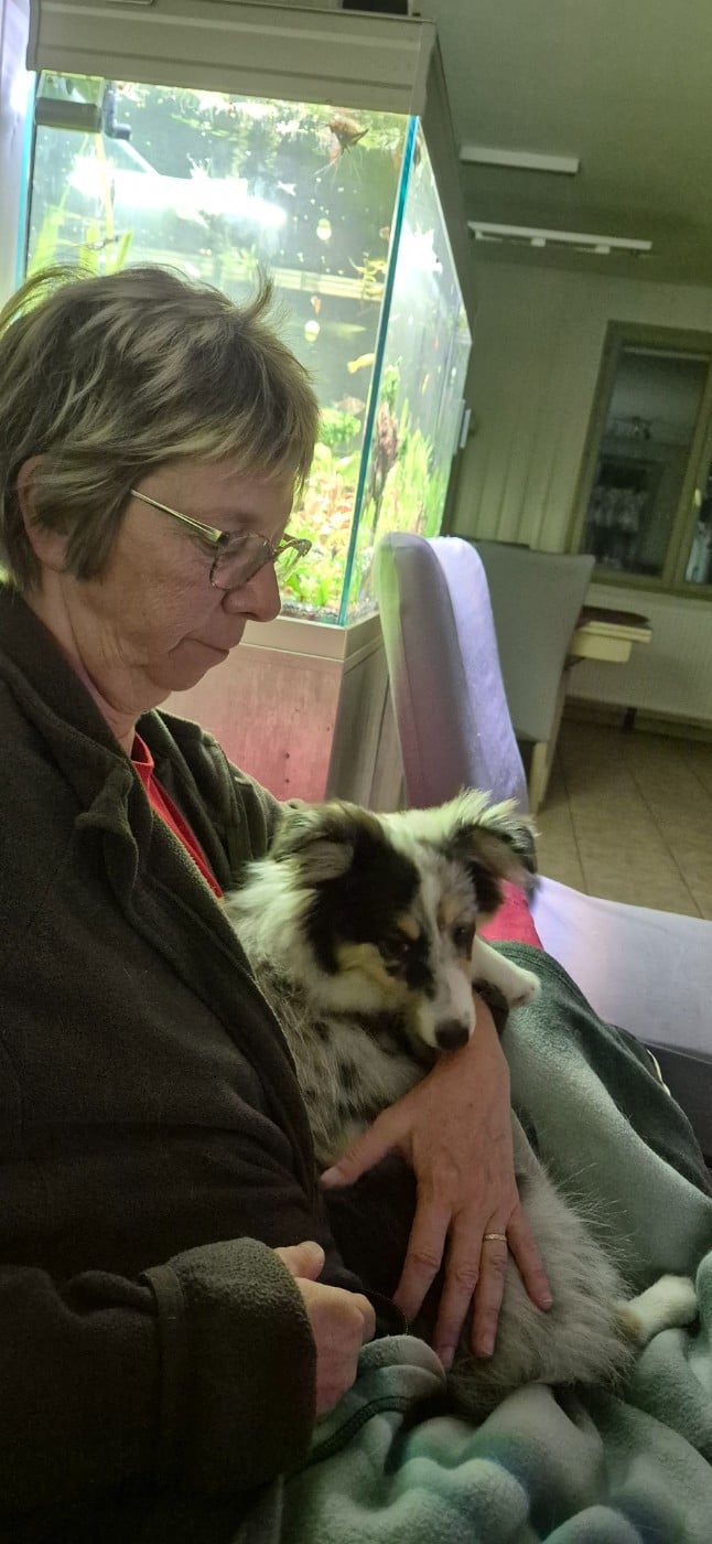 Vinci Des gardiens des trois magots