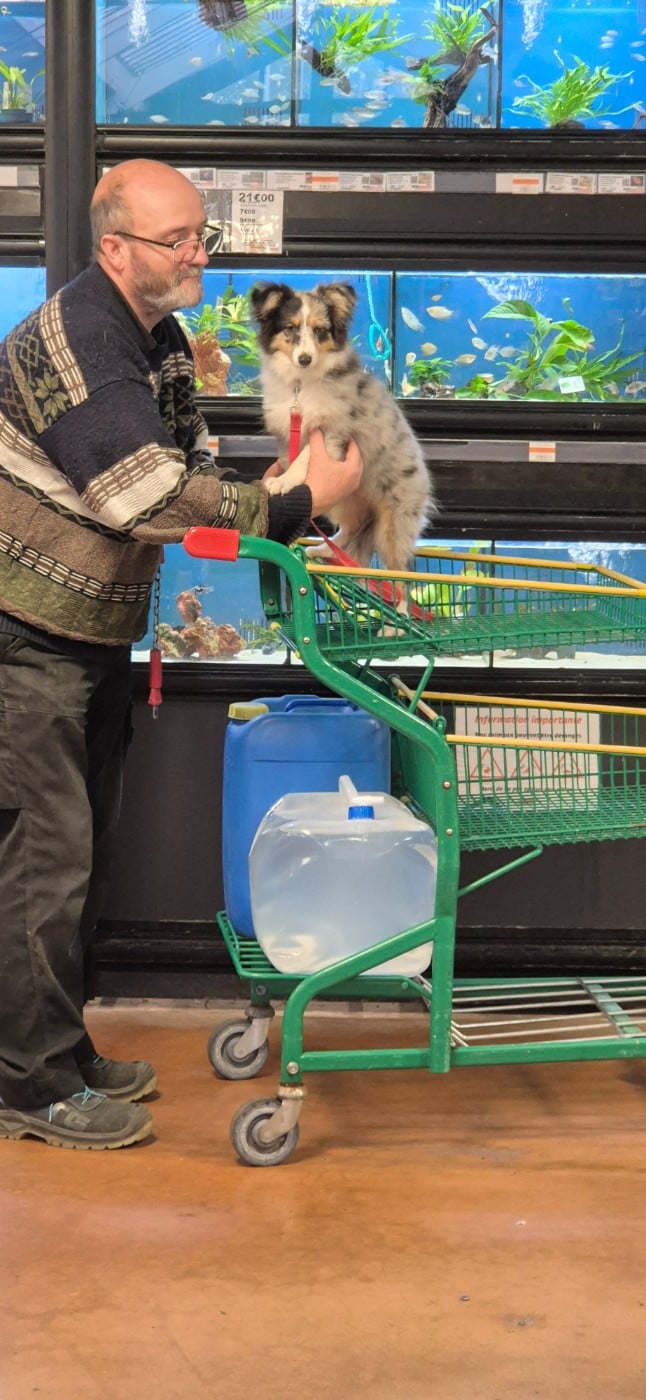 Vinci Des gardiens des trois magots