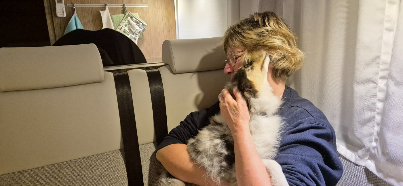 Vinci Des gardiens des trois magots