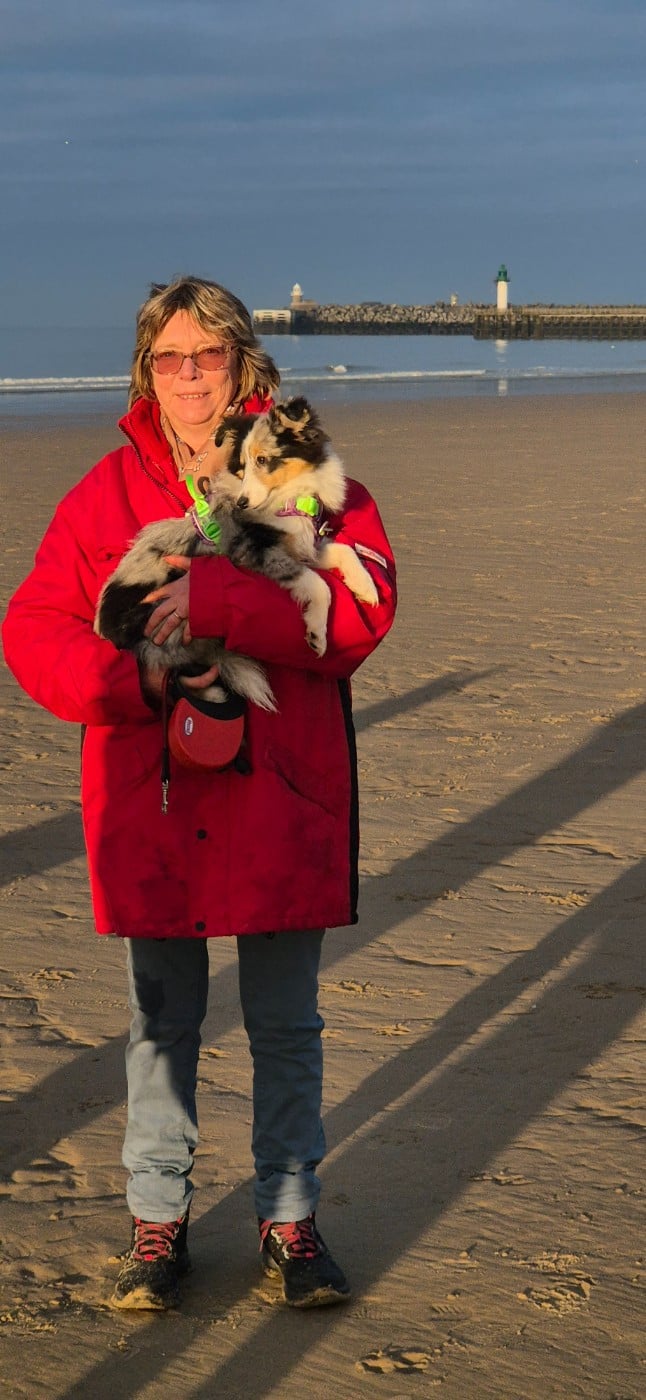 Vinci Des gardiens des trois magots