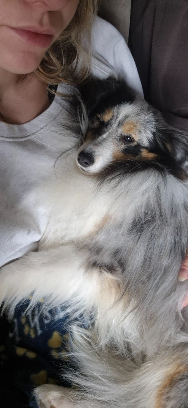 Vinci Des gardiens des trois magots