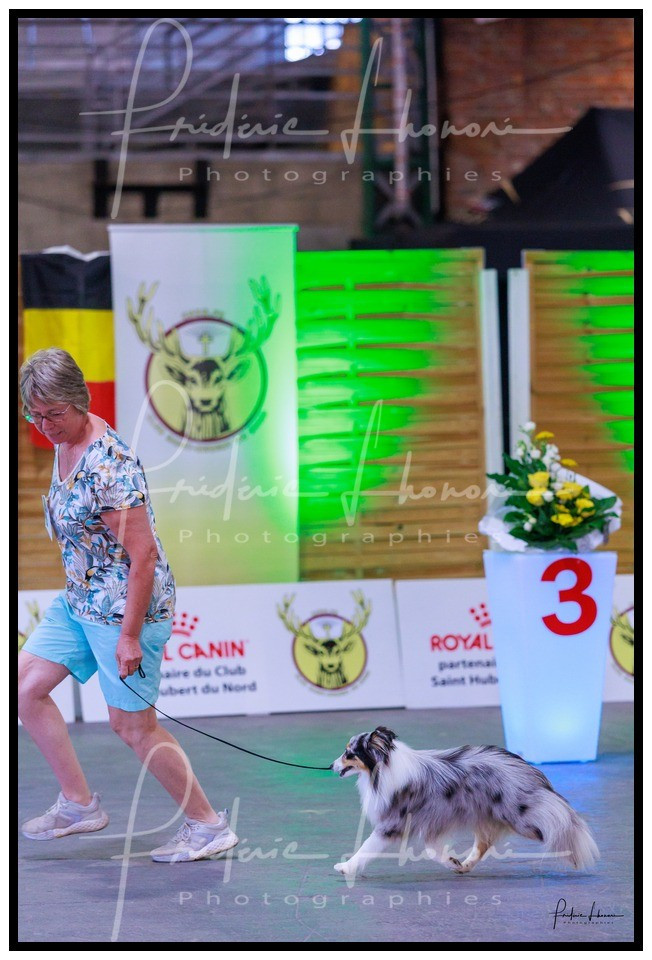 Vinci Des gardiens des trois magots