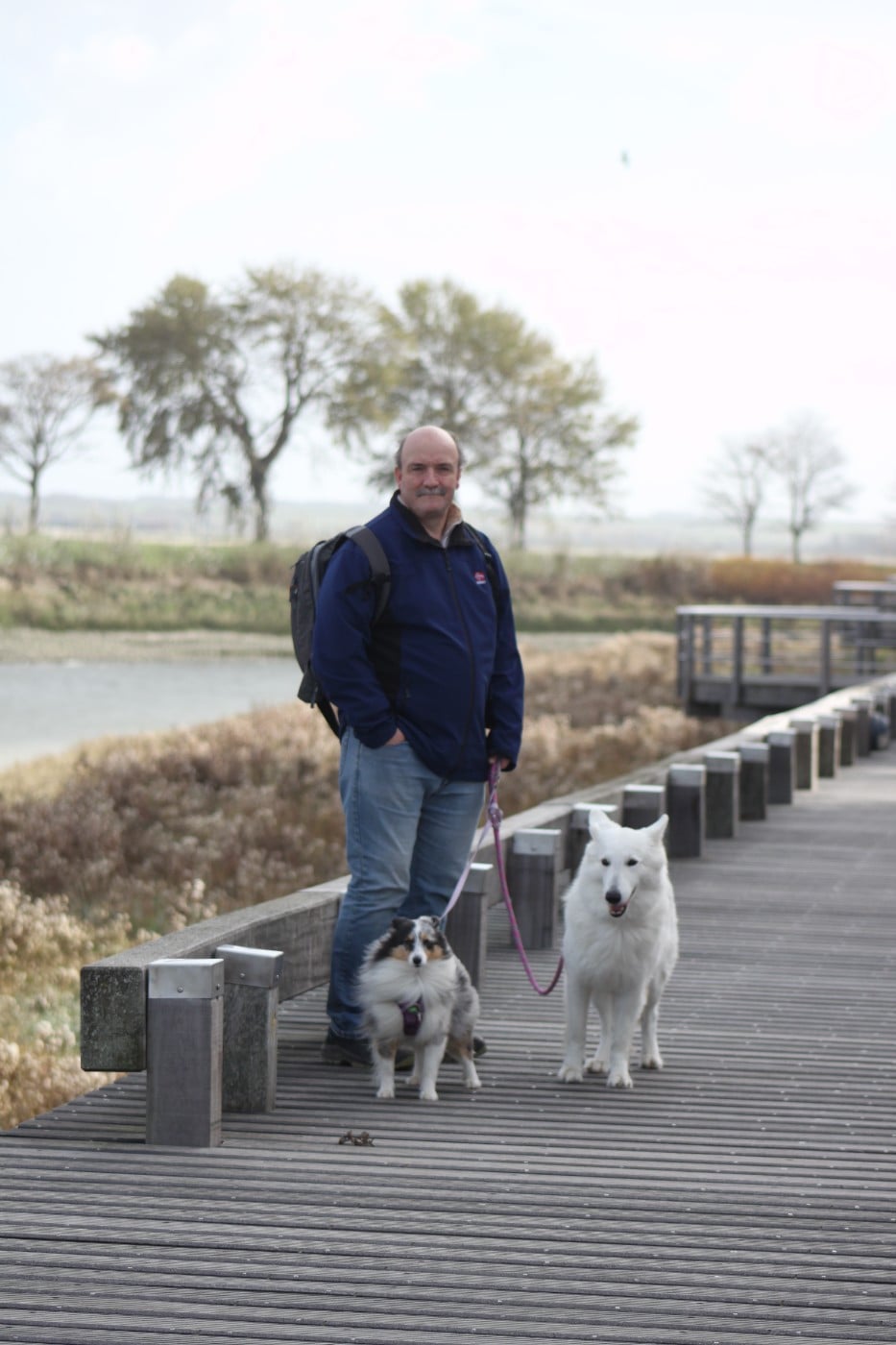 Vinci Des gardiens des trois magots