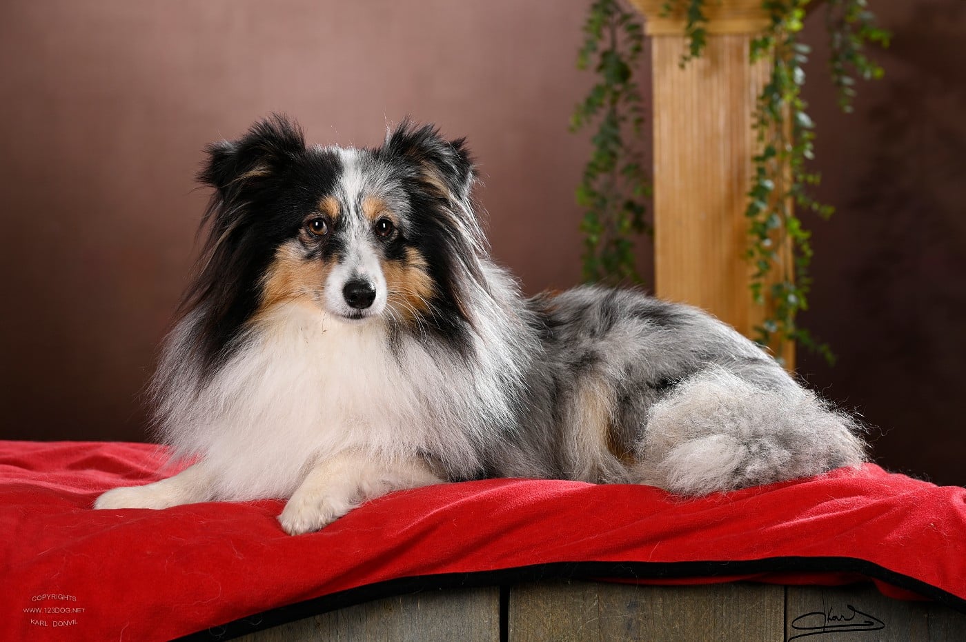 Vinci Des gardiens des trois magots