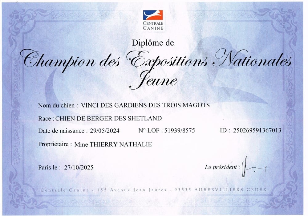 Vinci Des gardiens des trois magots