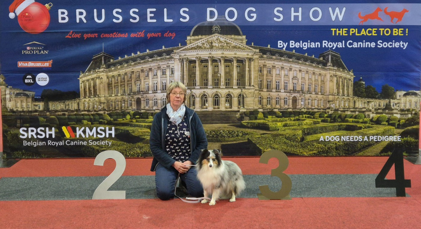 Vinci Des gardiens des trois magots