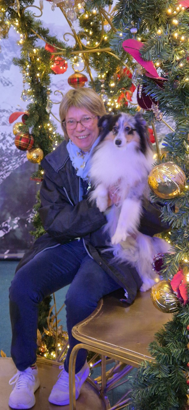 Vinci Des gardiens des trois magots