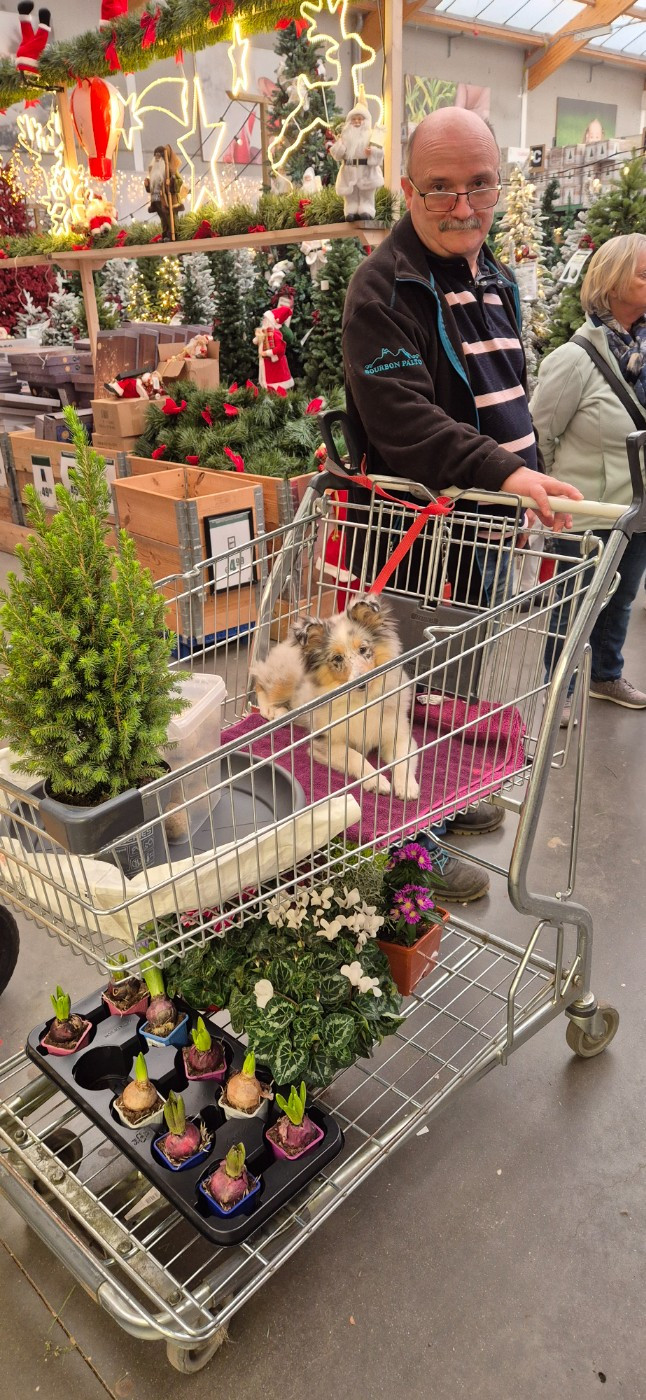 AMY  Des gardiens des trois magots