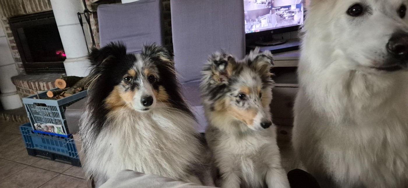 AMY  Des gardiens des trois magots