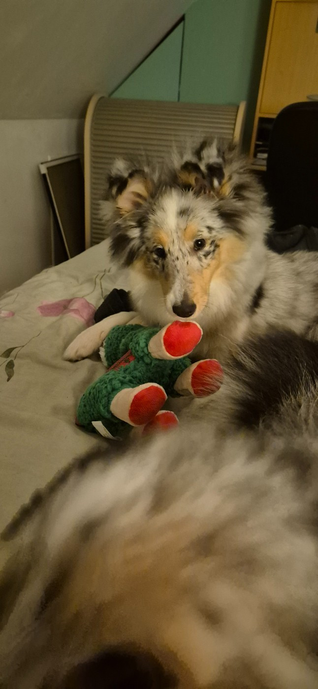 AMY  Des gardiens des trois magots