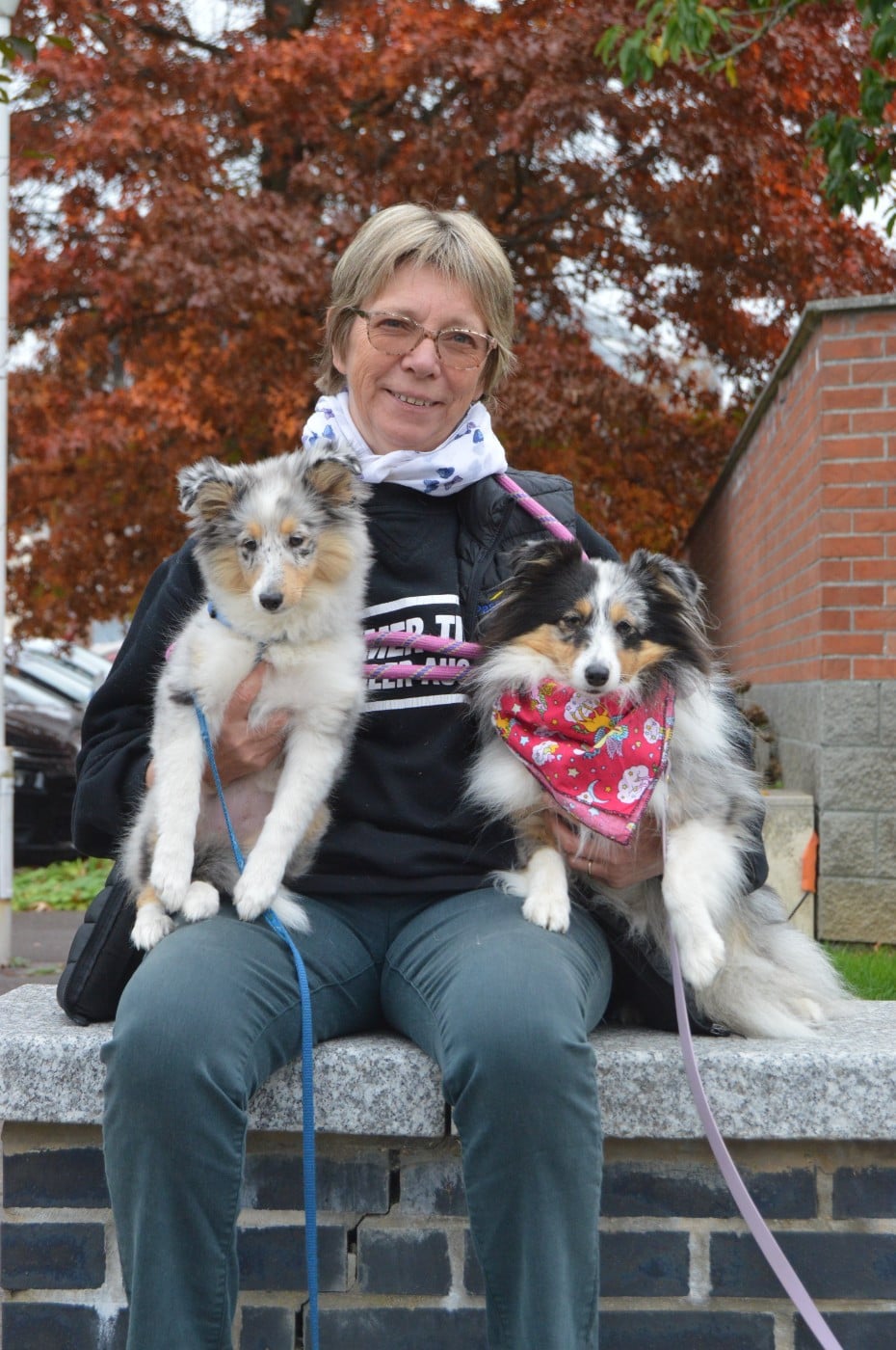 AMY  Des gardiens des trois magots