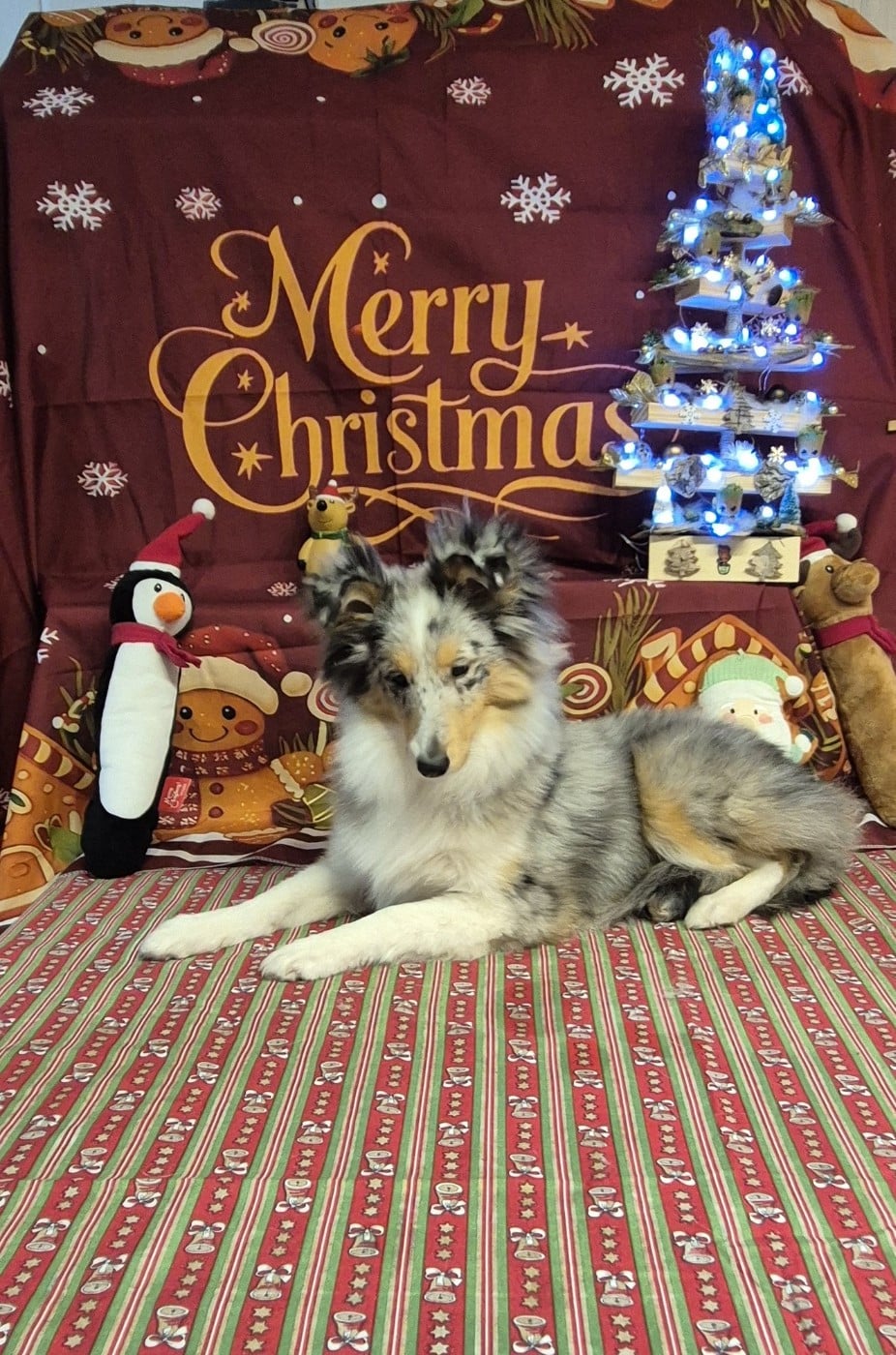 AMY  Des gardiens des trois magots