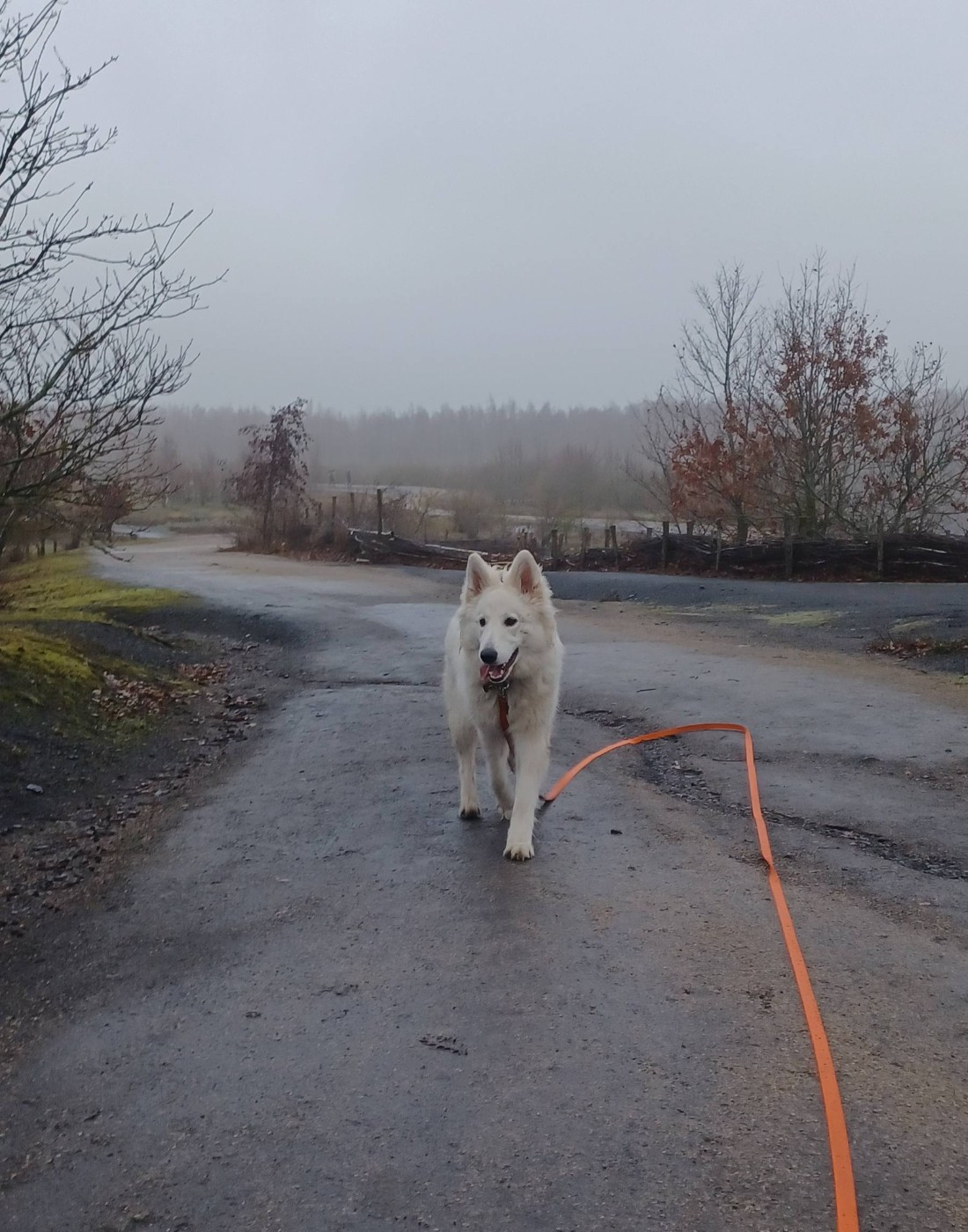 A skadi Du Moulin De Beuvry