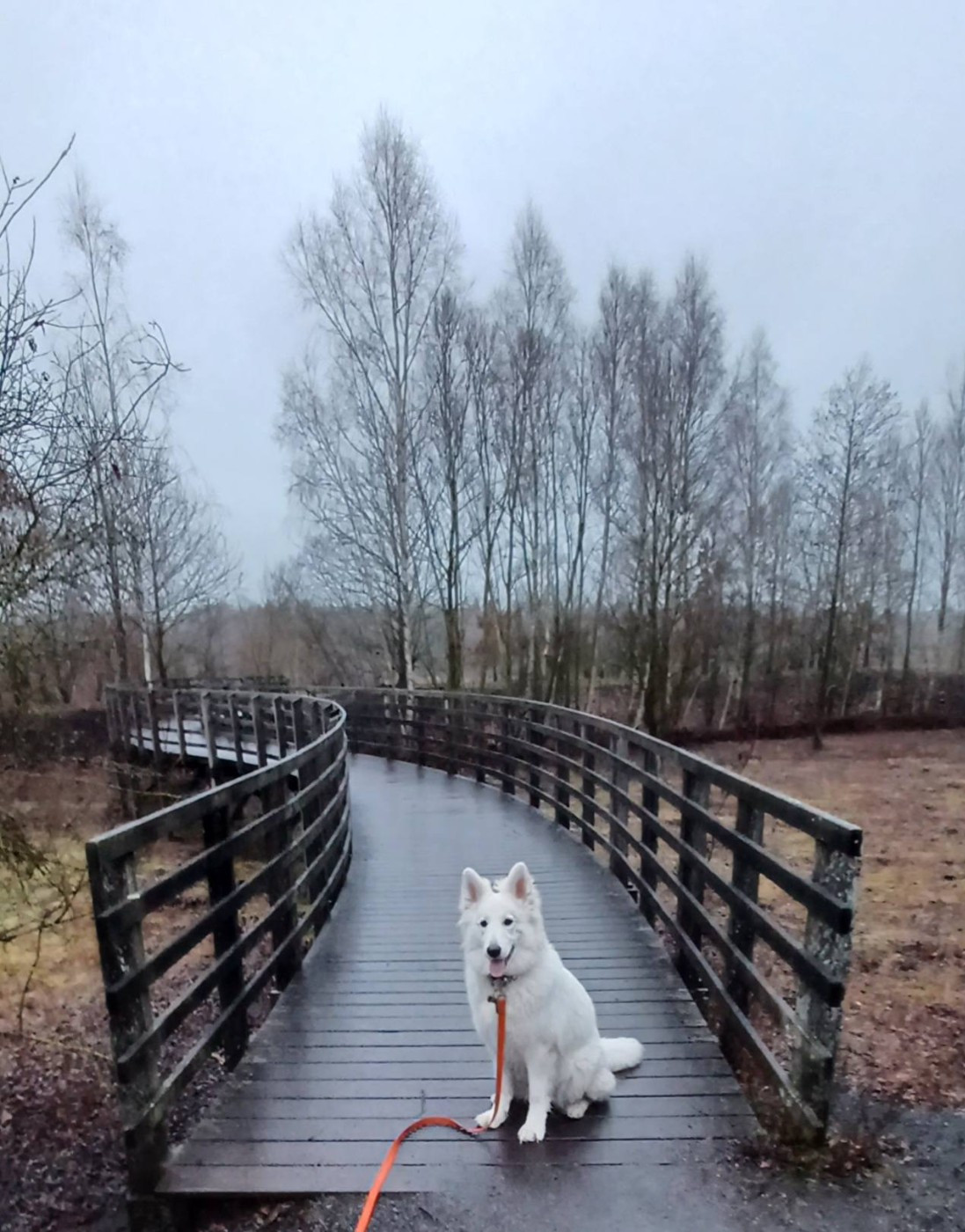 A skadi Du Moulin De Beuvry