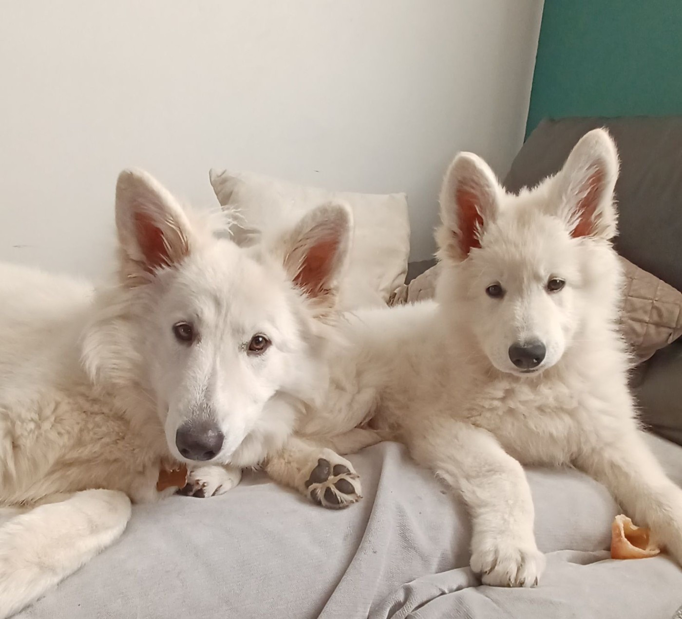 A skadi Du Moulin De Beuvry