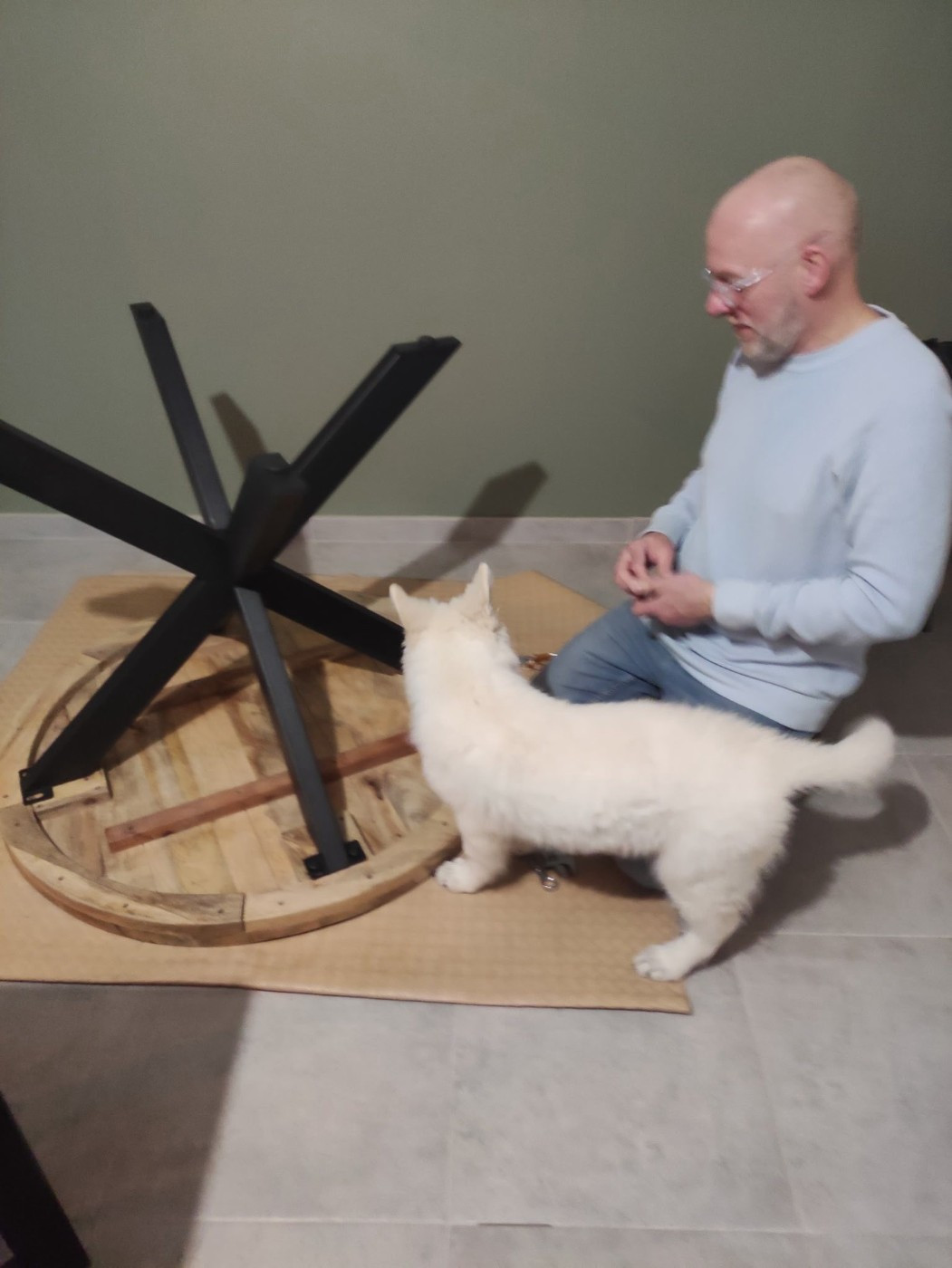 ARKO Du Moulin De Beuvry