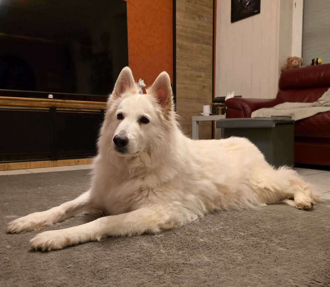 Ianka Du Moulin De Beuvry