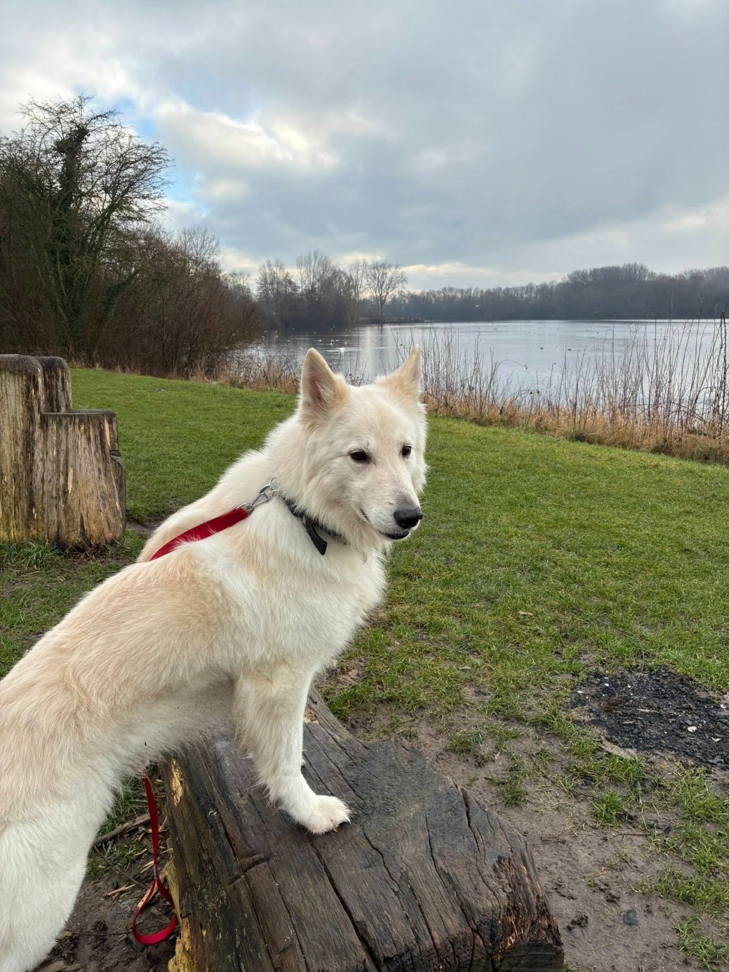 Publication : Du Moulin De Beuvry Auteur : Agnès Delgrange