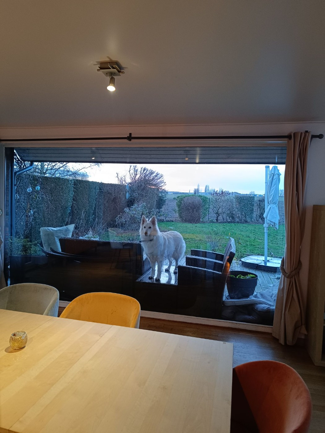 Udina Du Moulin De Beuvry