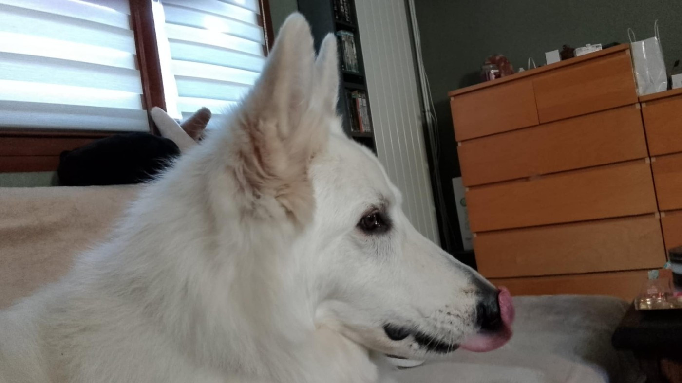 Olan Du Moulin De Beuvry