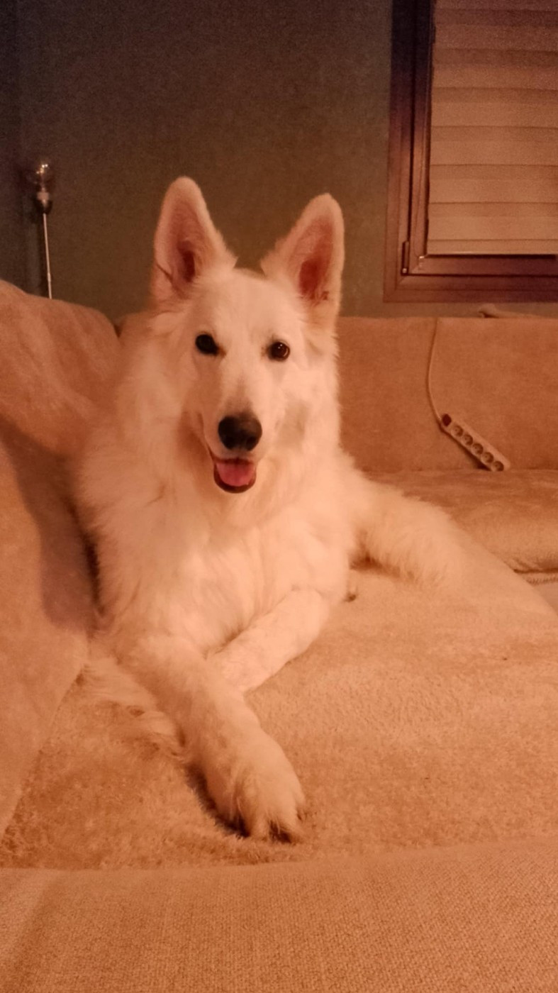 Olan Du Moulin De Beuvry