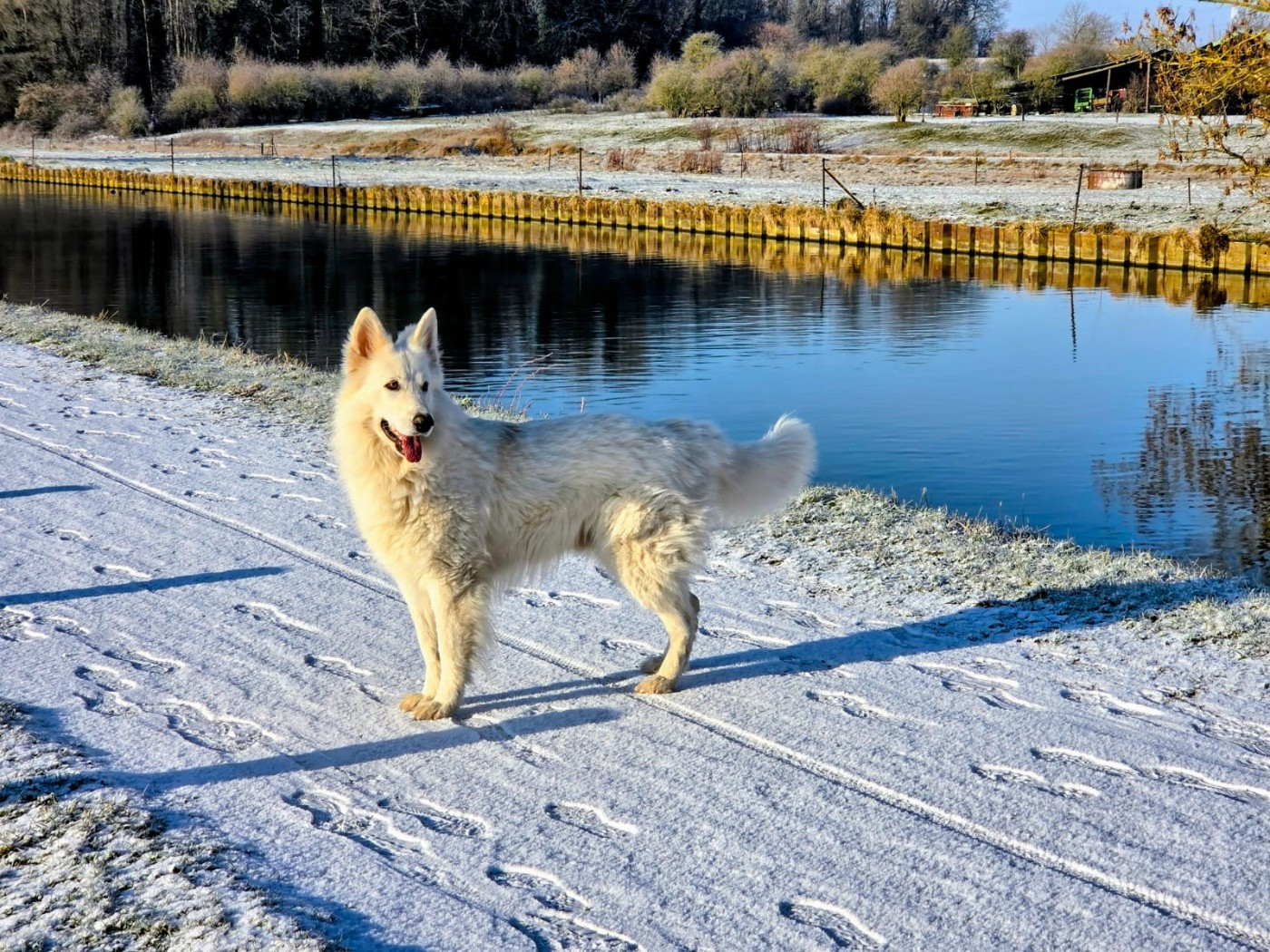 T'floki Du Moulin De Beuvry