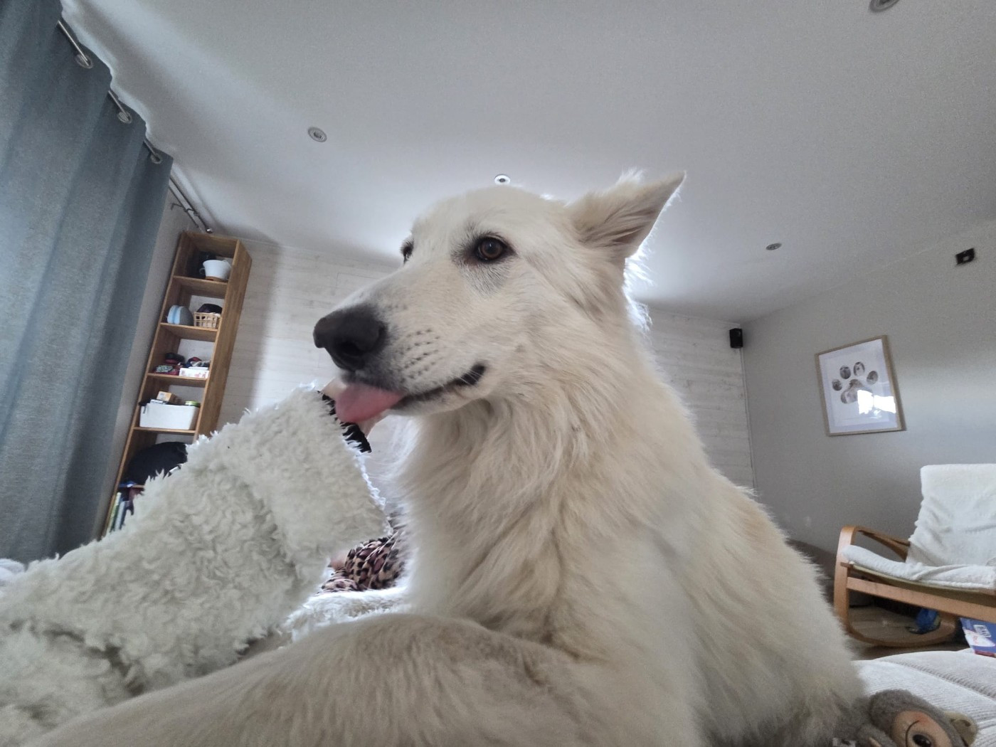 T'floki Du Moulin De Beuvry