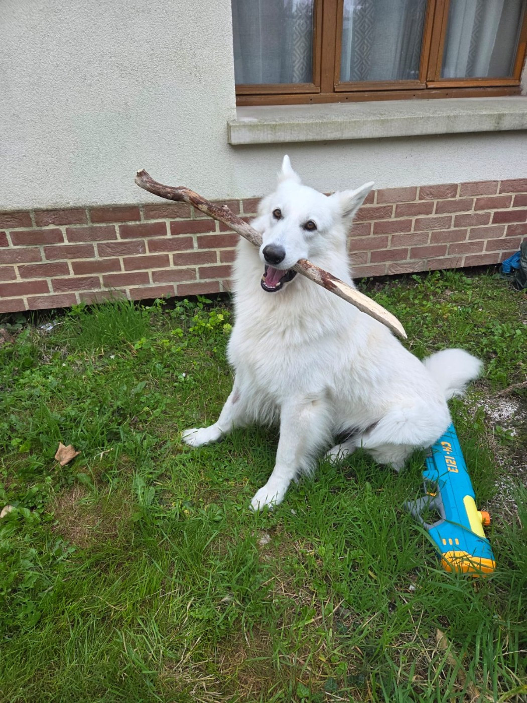 T'floki Du Moulin De Beuvry