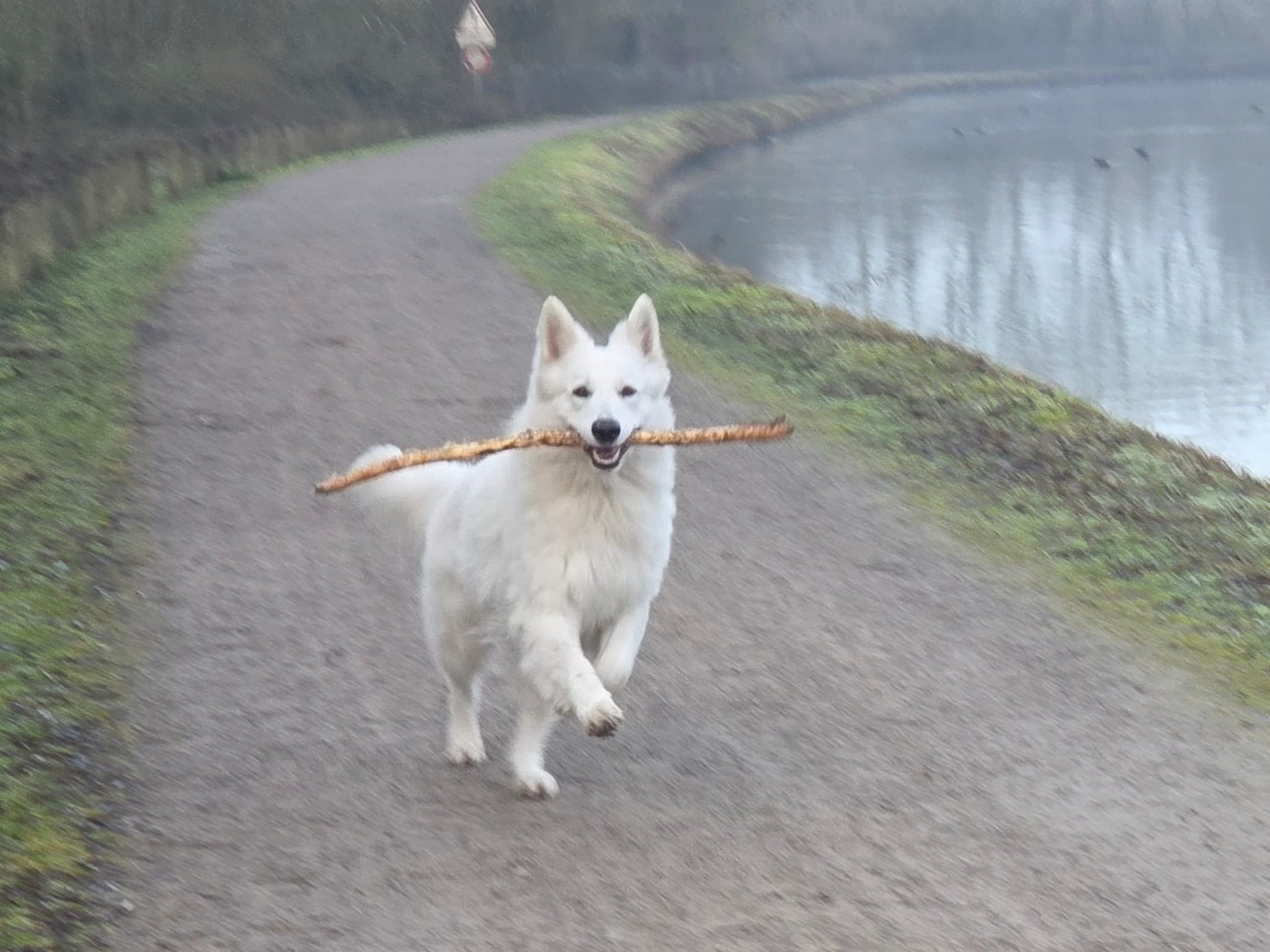 T'floki Du Moulin De Beuvry