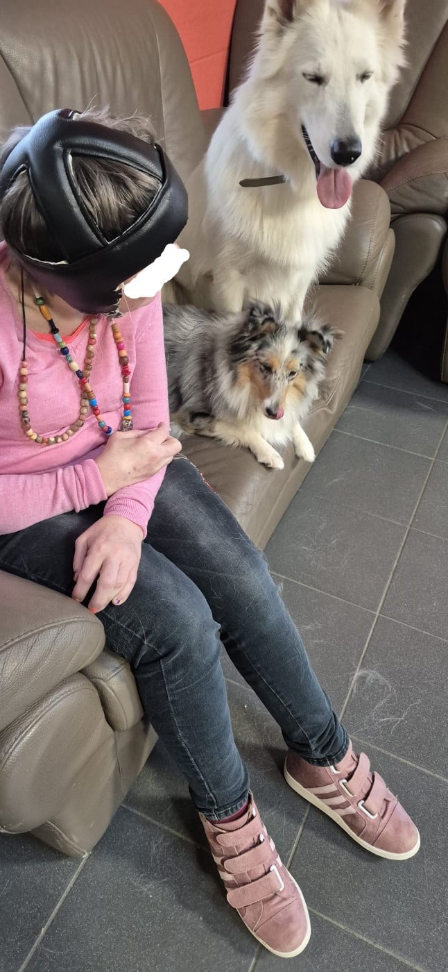 AMY  Des gardiens des trois magots