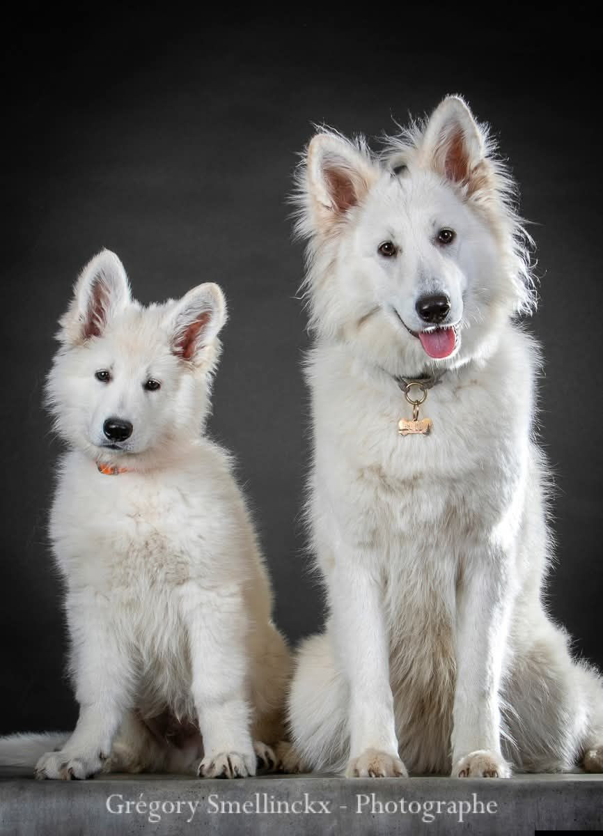 A skadi Du Moulin De Beuvry
